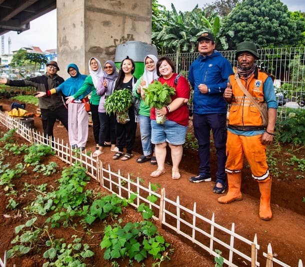 Penanaman Pohon